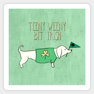 Saint Patrick's Day Dog Design Teeny Weeny Bit Irish Sticker